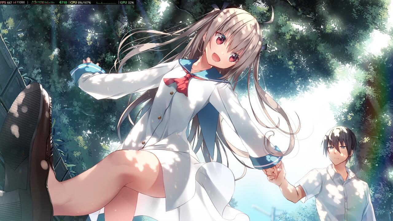 用户提供的 CG · 林间牵手